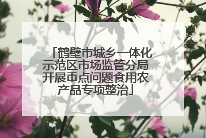 鹤壁市城乡一体化示范区市场监管分局开展重点问题食用农产品专项整治