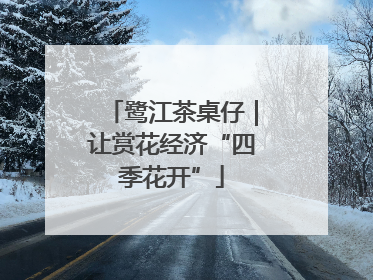 鹭江茶桌仔｜让赏花经济“四季花开”