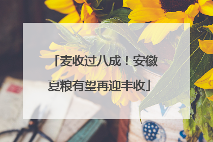 麦收过八成！安徽夏粮有望再迎丰收