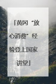 黄冈“放心消费”经验登上国家讲堂