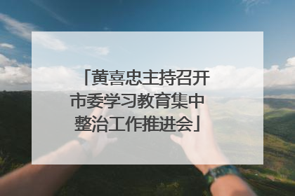 黄喜忠主持召开市委学习教育集中整治工作推进会