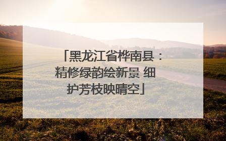 黑龙江省桦南县：精修绿韵绘新景 细护芳枝映晴空
