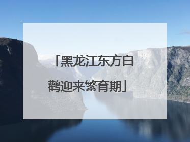 黑龙江东方白鹳迎来繁育期