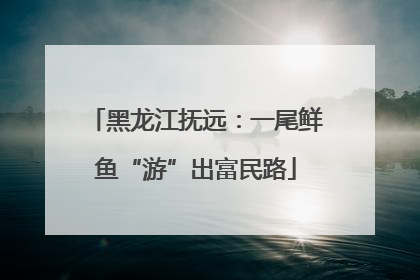 黑龙江抚远：一尾鲜鱼“游”出富民路