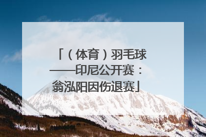 （体育）羽毛球——印尼公开赛：翁泓阳因伤退赛