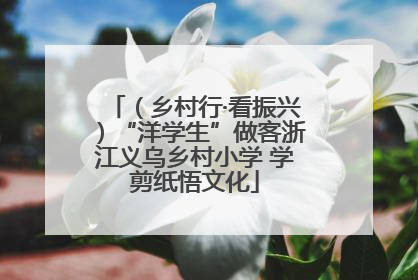 （乡村行·看振兴）“洋学生”做客浙江义乌乡村小学 学剪纸悟文化