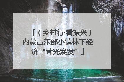 （乡村行·看振兴）内蒙古东部小镇林下经济“茸光焕发”