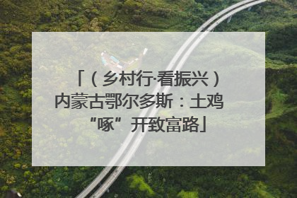 （乡村行·看振兴）内蒙古鄂尔多斯：土鸡“啄”开致富路