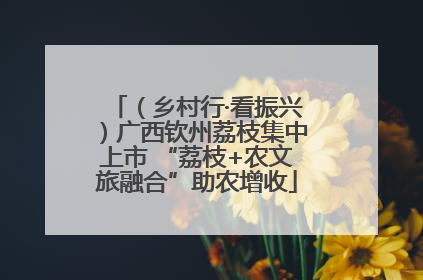 （乡村行·看振兴）广西钦州荔枝集中上市 “荔枝+农文旅融合”助农增收