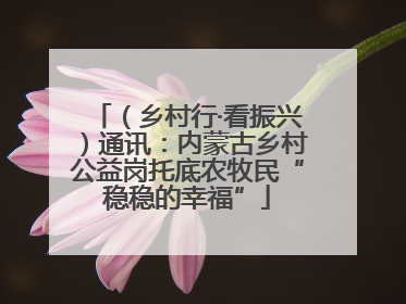 （乡村行·看振兴）通讯：内蒙古乡村公益岗托底农牧民“稳稳的幸福”