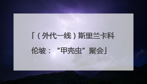 （外代一线）斯里兰卡科伦坡：“甲壳虫”聚会