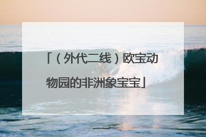 （外代二线）欧宝动物园的非洲象宝宝