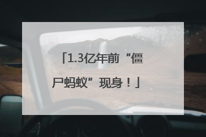 1.3亿年前“僵尸蚂蚁”现身！
