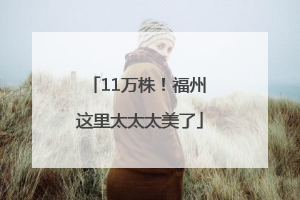 11万株！福州这里太太太美了