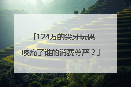 124万的尖牙玩偶 咬痛了谁的消费尊严？