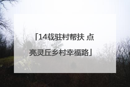 14载驻村帮扶 点亮灵丘乡村幸福路