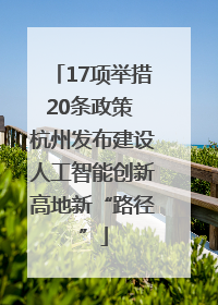 17项举措20条政策 杭州发布建设人工智能创新高地新“路径”