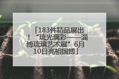 183件精品展出！“琉光璃彩——淄博琉璃艺术展”6月10日亮相国博