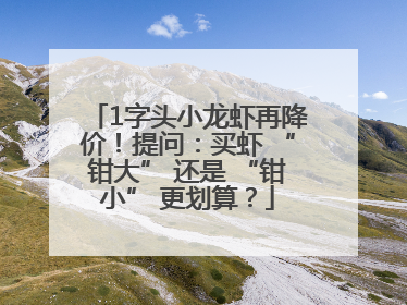 1字头小龙虾再降价！提问：买虾 “钳大” 还是 “钳小” 更划算？