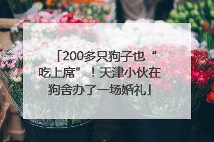 200多只狗子也“吃上席”！天津小伙在狗舍办了一场婚礼