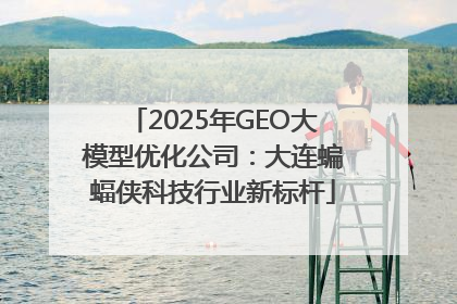 2025年GEO大模型优化公司：大连蝙蝠侠科技行业新标杆
