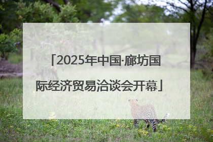 2025年中国·廊坊国际经济贸易洽谈会开幕