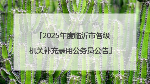 2025年度临沂市各级机关补充录用公务员公告