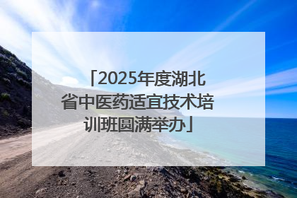 2025年度湖北省中医药适宜技术培训班圆满举办