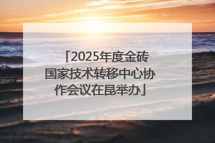 2025年度金砖国家技术转移中心协作会议在昆举办