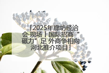 2025年廊坊经洽会·现场丨国际招商“磁力”足 外商争相向河北推介项目