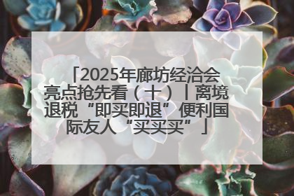 2025年廊坊经洽会亮点抢先看（十）丨离境退税“即买即退”便利国际友人“买买买”