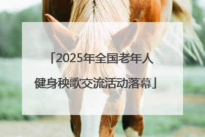 2025年全国老年人健身秧歌交流活动落幕