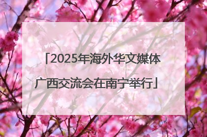 2025年海外华文媒体广西交流会在南宁举行