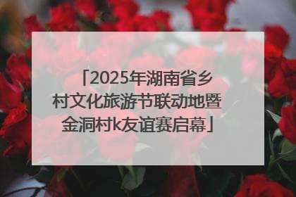 2025年湖南省乡村文化旅游节联动地暨金洞村k友谊赛启幕