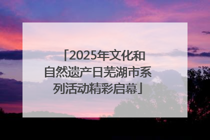 2025年文化和自然遗产日芜湖市系列活动精彩启幕