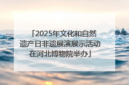 2025年文化和自然遗产日非遗展演展示活动在河北博物院举办
