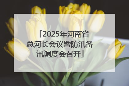 2025年河南省总河长会议暨防汛备汛调度会召开
