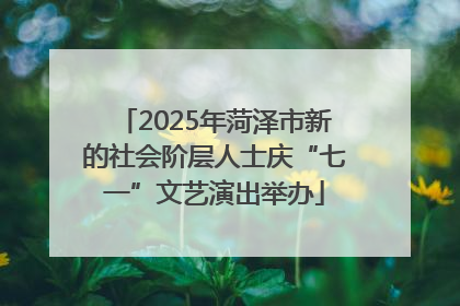 2025年菏泽市新的社会阶层人士庆“七一”文艺演出举办