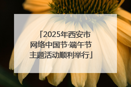 2025年西安市网络中国节·端午节主题活动顺利举行
