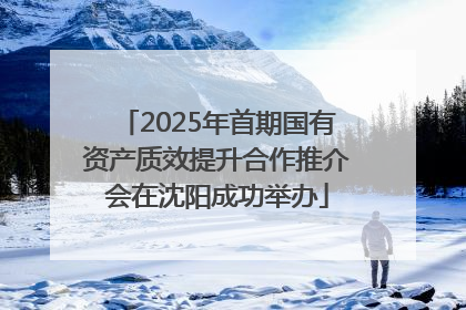 2025年首期国有资产质效提升合作推介会在沈阳成功举办