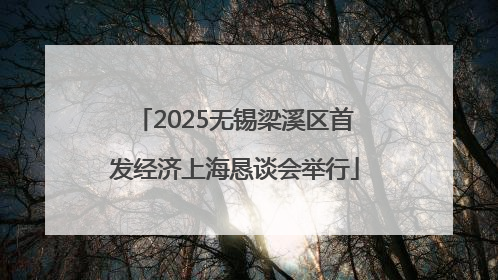 2025无锡梁溪区首发经济上海恳谈会举行