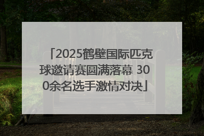 2025鹤壁国际匹克球邀请赛圆满落幕 300余名选手激情对决