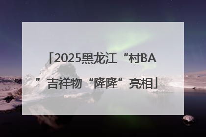 2025黑龙江“村BA”吉祥物“隆隆”亮相