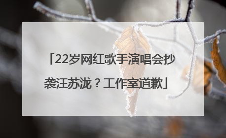 22岁网红歌手演唱会抄袭汪苏泷？工作室道歉