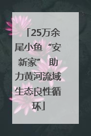 25万余尾小鱼“安新家” 助力黄河流域生态良性循环