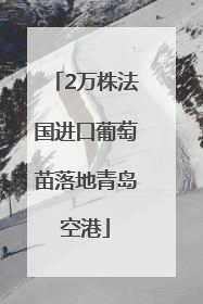 2万株法国进口葡萄苗落地青岛空港