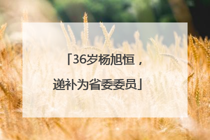 36岁杨旭恒，递补为省委委员