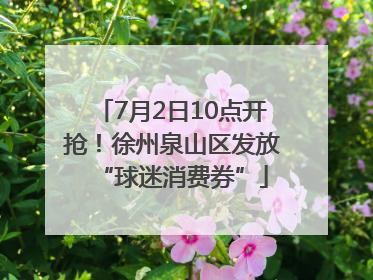 7月2日10点开抢！徐州泉山区发放“球迷消费券”