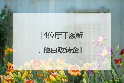4位厅干履新，他由政转企