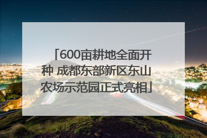 600亩耕地全面开种 成都东部新区东山农场示范园正式亮相